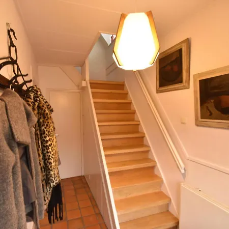 Comfortable In Near Forest