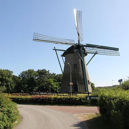 Comfortable In Near Forest