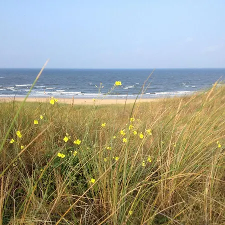 Comfortable In Near Forest