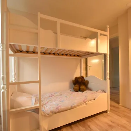 Comfortable In Near Forest