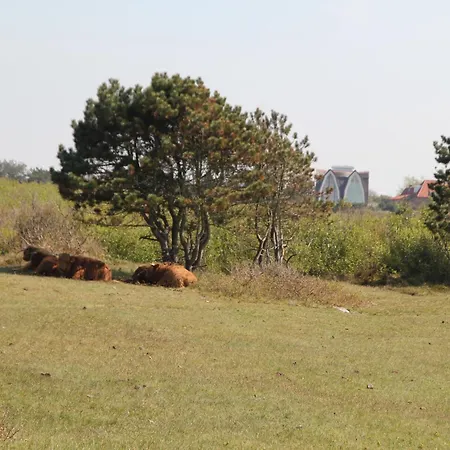 Comfortable In Near Forest Ferienhaus
