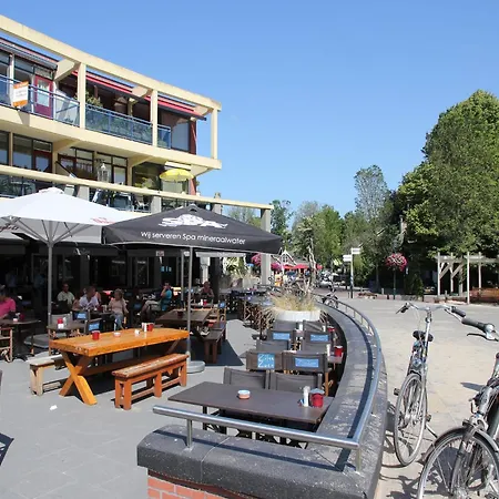 Comfortable In Near Forest