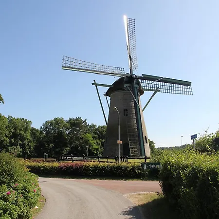 Ferienhaus Comfortable In Near Forest