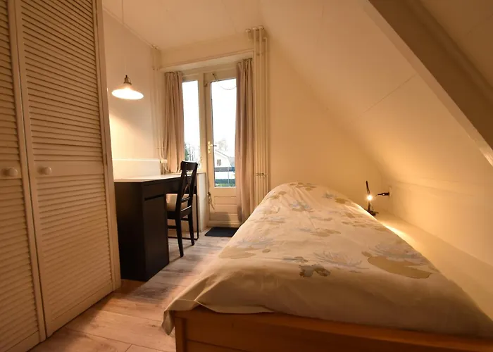 Comfortable In Near Forest *