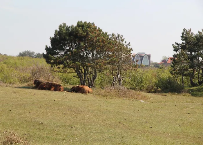Comfortable In Near Forest Дом отдыха