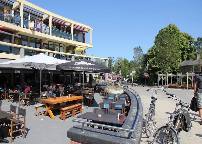 Comfortable In Near Forest